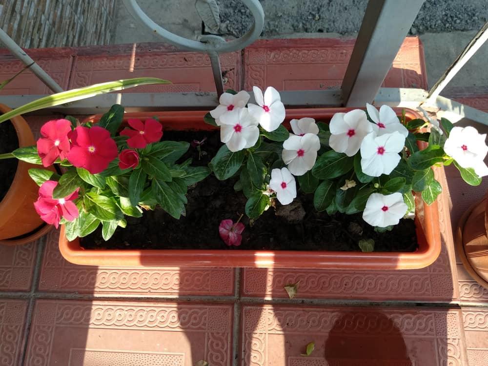 Guest House Etnodom Jalal-Abad Екстериор снимка