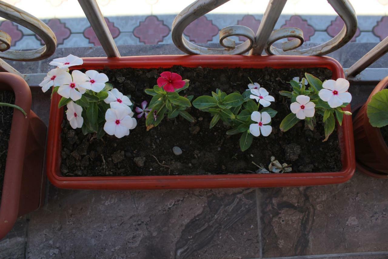 Guest House Etnodom Jalal-Abad Екстериор снимка